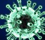 Вирусная атака: как повысить иммунитет и защитить сердце