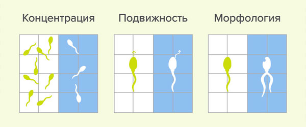 Для чего нужна спермограмма?