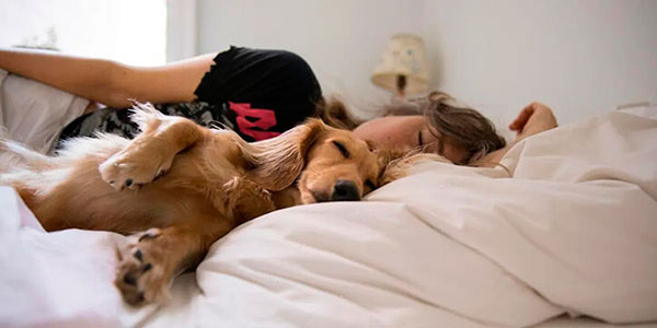 Мистецтво виживання в холодній квартирі