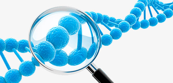 Цілі проведення ДНК аналізу Цілі проведення ДНК аналізу